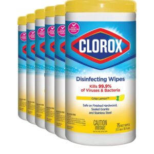 Clorox Disinfecting Wipes, Lemon Fresh, 75 Count, Multi-Pack of 6 Canisters - Image 3