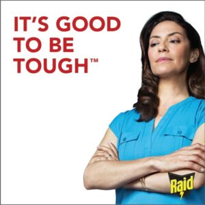 Raid Home Insect Killer and Mosquito Repellent - Image 4