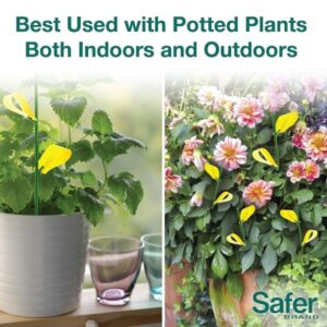 Safer's Houseplant Sticky Stakes Insect Trap - Image 4